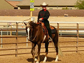 Horse Boarding