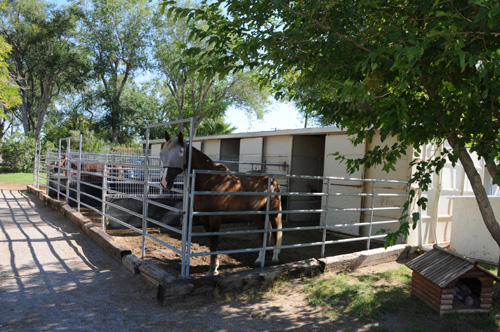 Barns Available