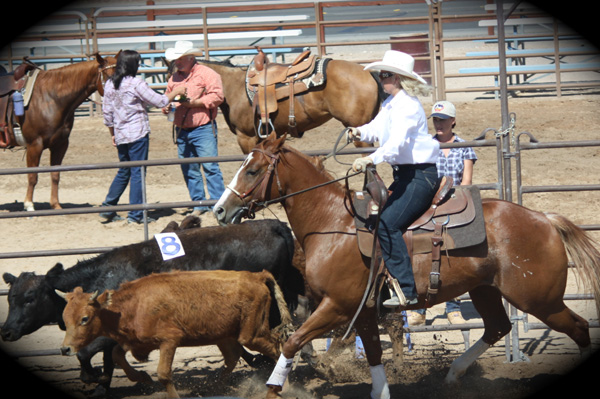 Ranch Sorting B Bar J