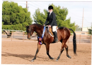 Boarding Horses